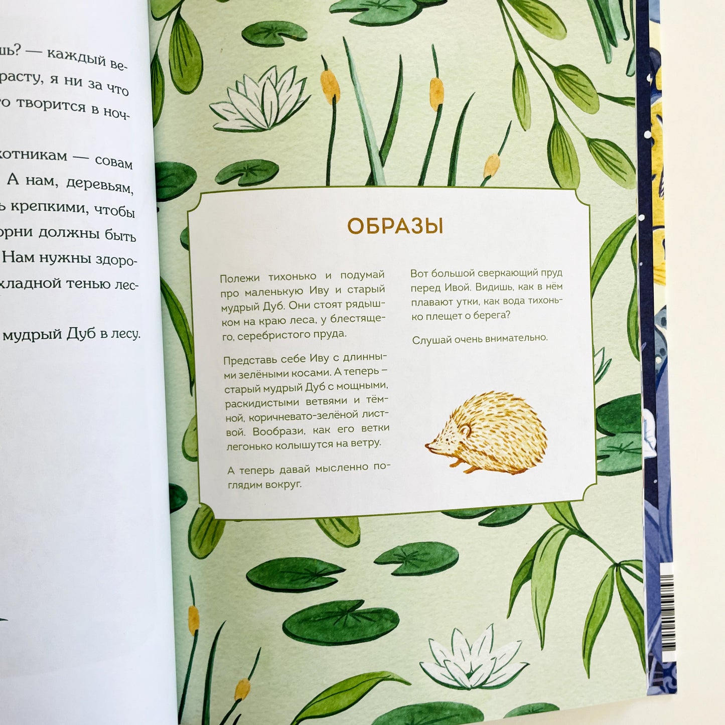 Сонные сказки