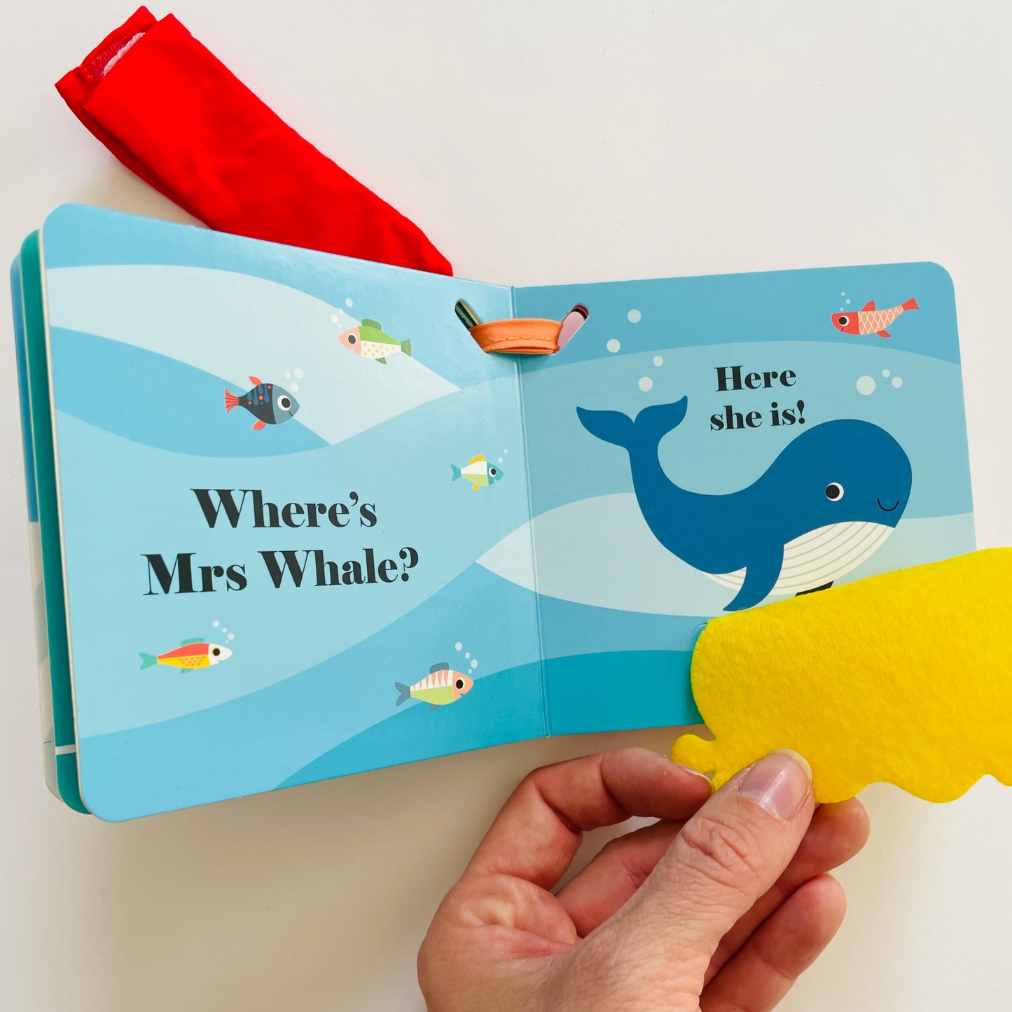 Where’s Mr Penguin? Buggy Book