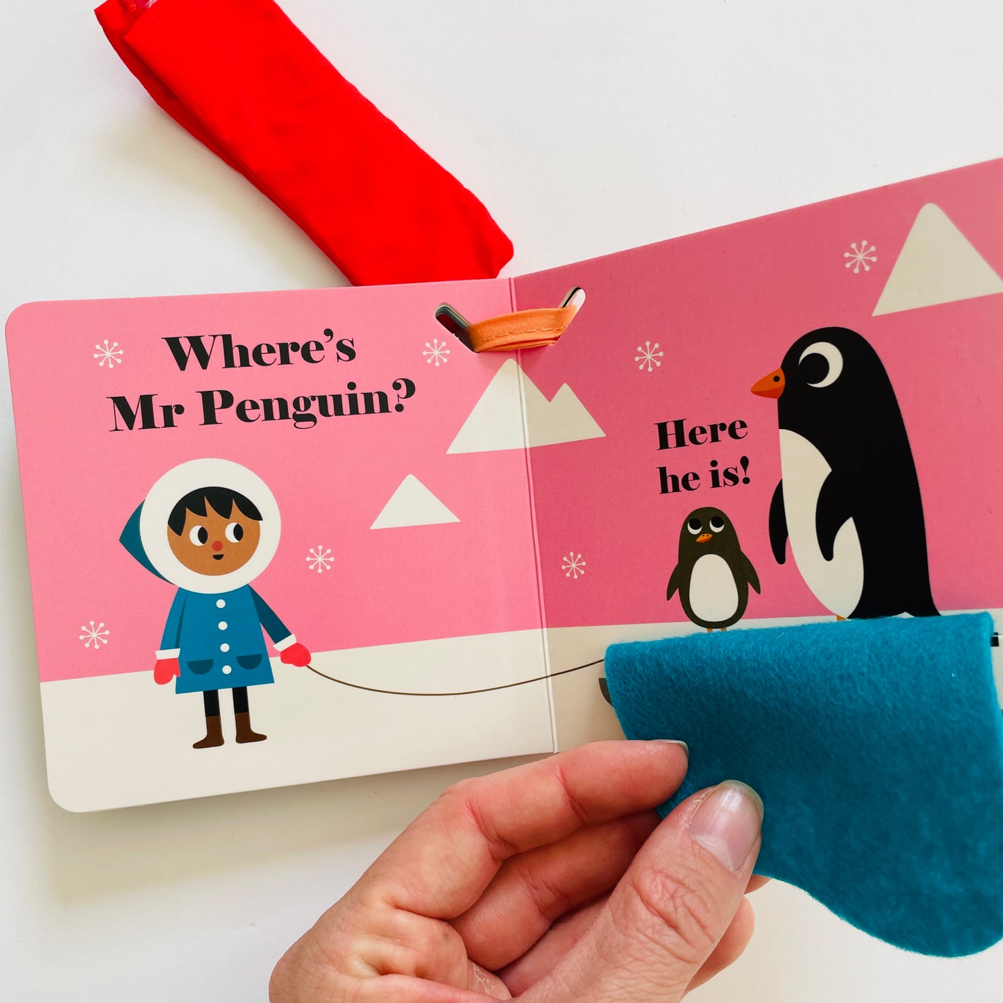 Where’s Mr Penguin? Buggy Book