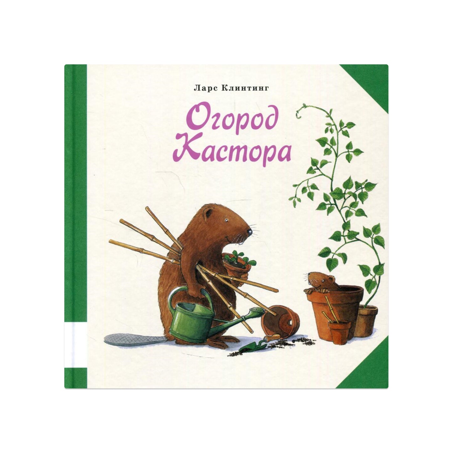 Огород Кастора