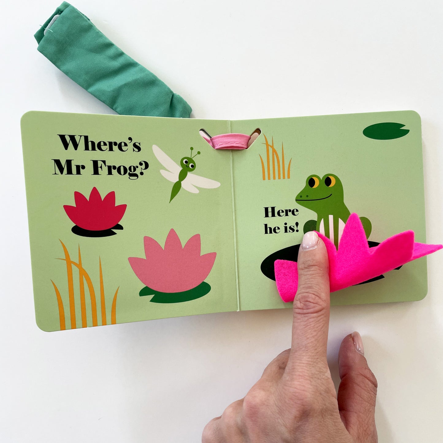 Where’s Mr Duck? Buggy Book