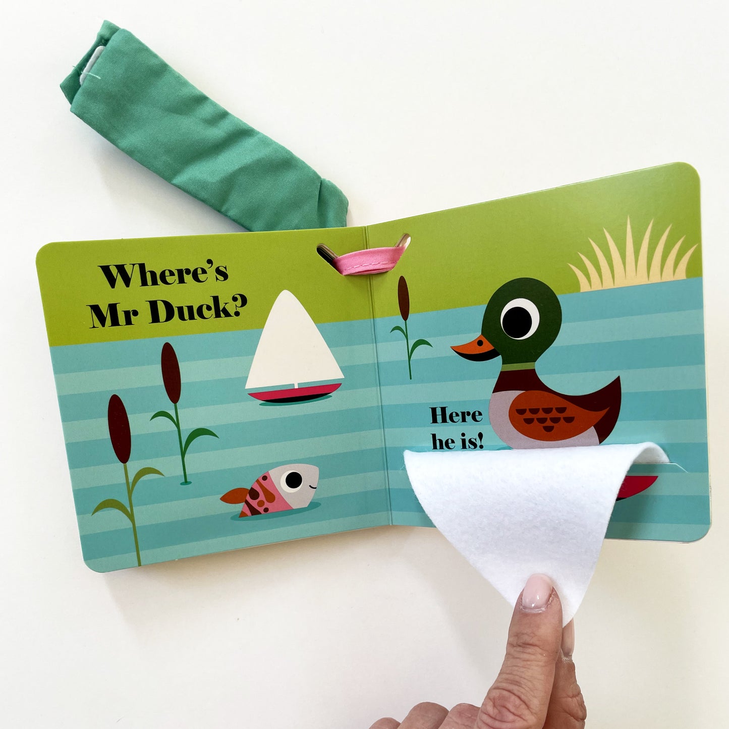 Where’s Mr Duck? Buggy Book