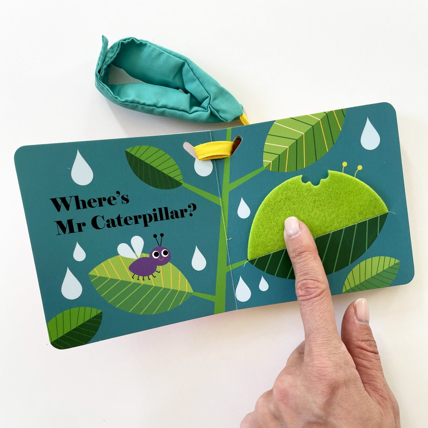 Where's Mrs Ladybird? Buggy Book