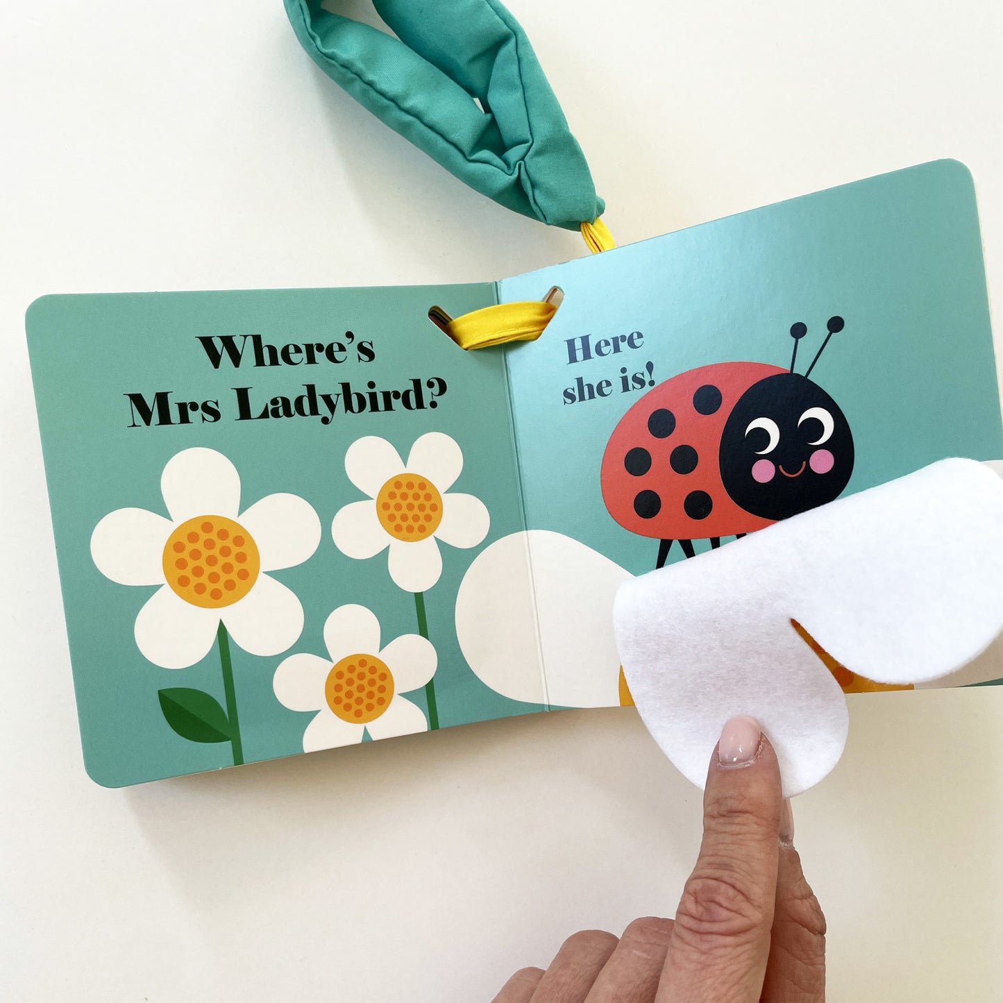 Where's Mrs Ladybird? Buggy Book